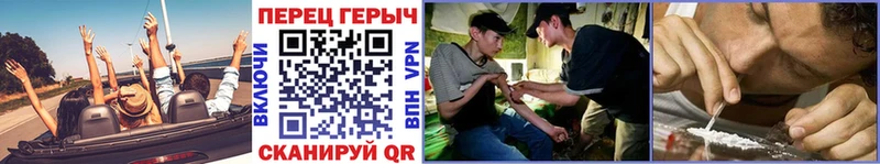 ГЕРОИН хмурый Торжок