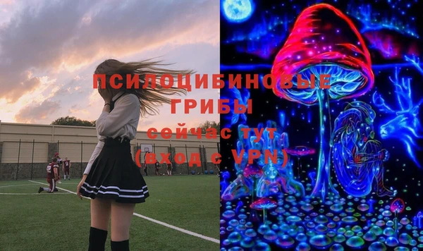 бошки Богородск