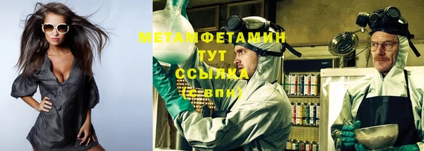 сатива Богданович